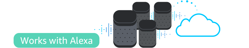 Cloud-Controlled Speakers (Proprietary Multi-Room)