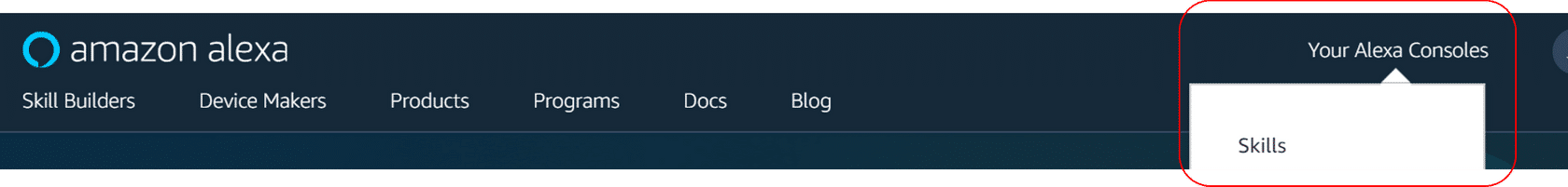 Console link screenshot