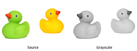 Two ducks in grayscale