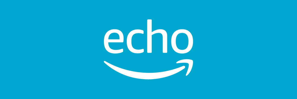 echo smile white on blue logo