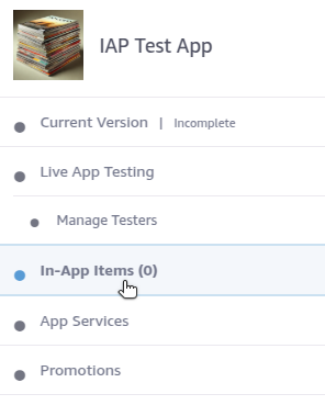 Testing IAP Additional Information Screenshot