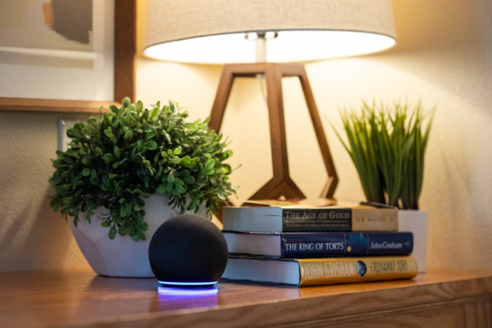 Alexa Smart Properties Senior Living 